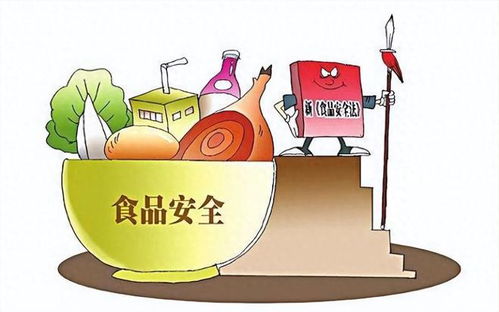 攤主因13元收入被罰3萬元引爭議，法院判決揭示市場治理與法律公正